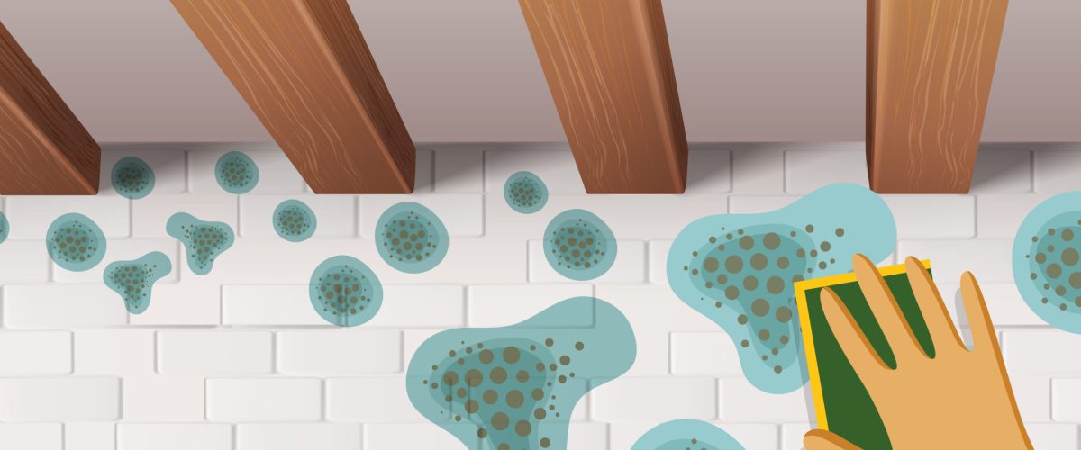 Moisissures et a lhumidite2 detail 01 scaled 1 1200x500