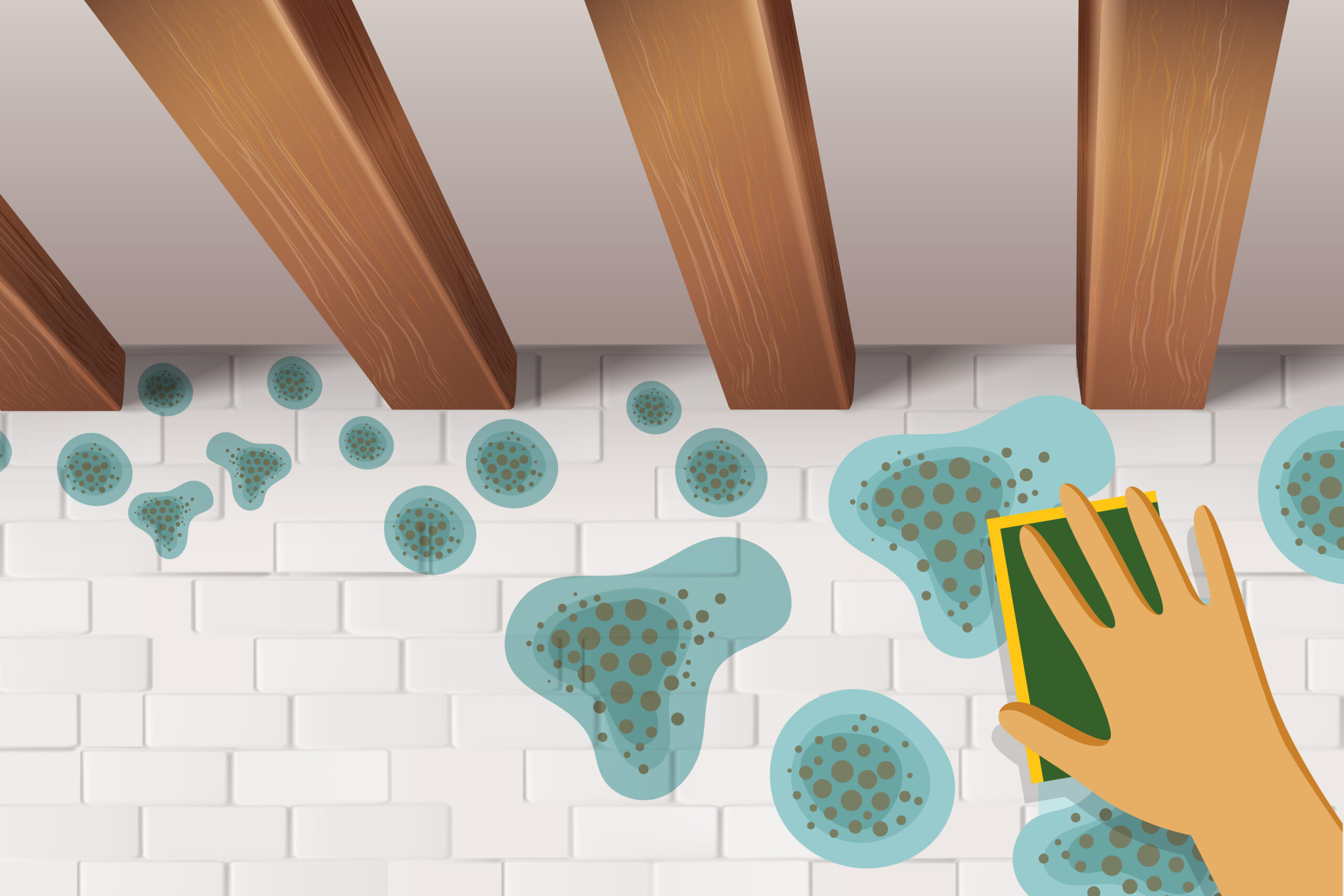 SUS AUX MOISISSURES ET À L’HUMIDITÉ ! 1 moisissures et a lhumidite2 detail 01 scaled 1