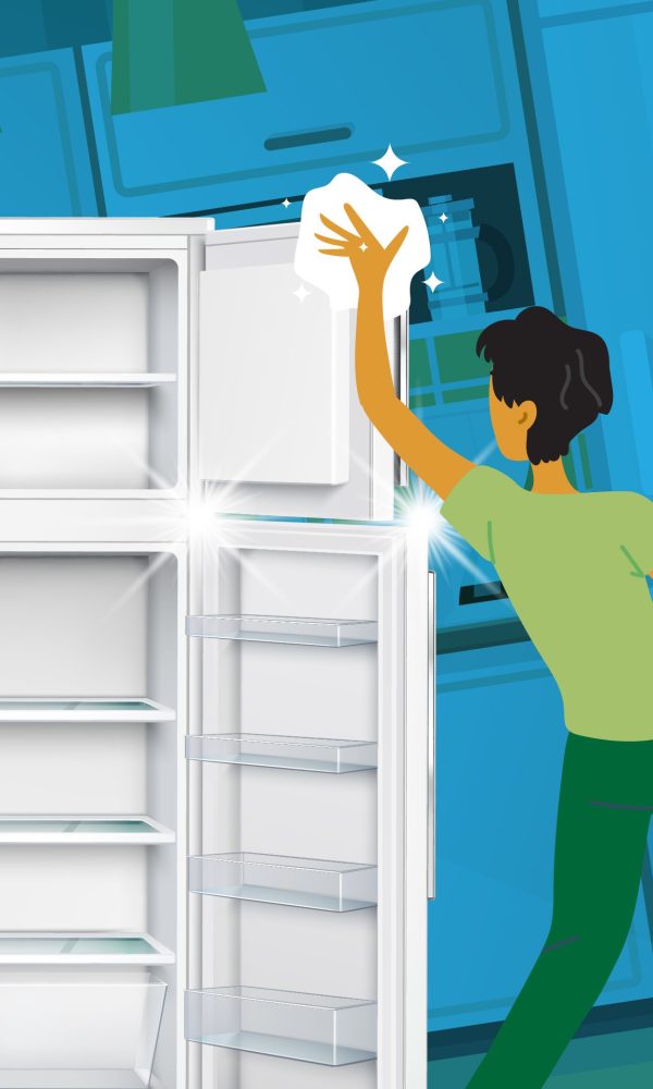 refrigerator contenu 01