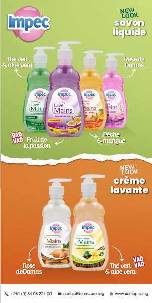 IMPEC GOOGLE DISPLAY LAVE MAINS 300ML 300x600px 1