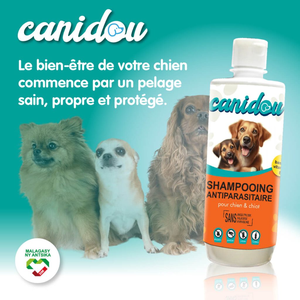 CANIDOU Photo accueil