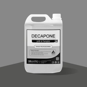 NETPRO DECAPONE
